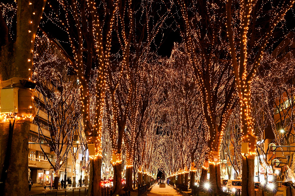 仙台　光のページェントがきらめくケヤキ並木