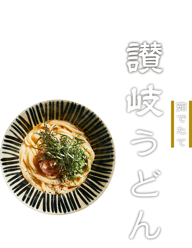 茹でたて　讃岐うどん